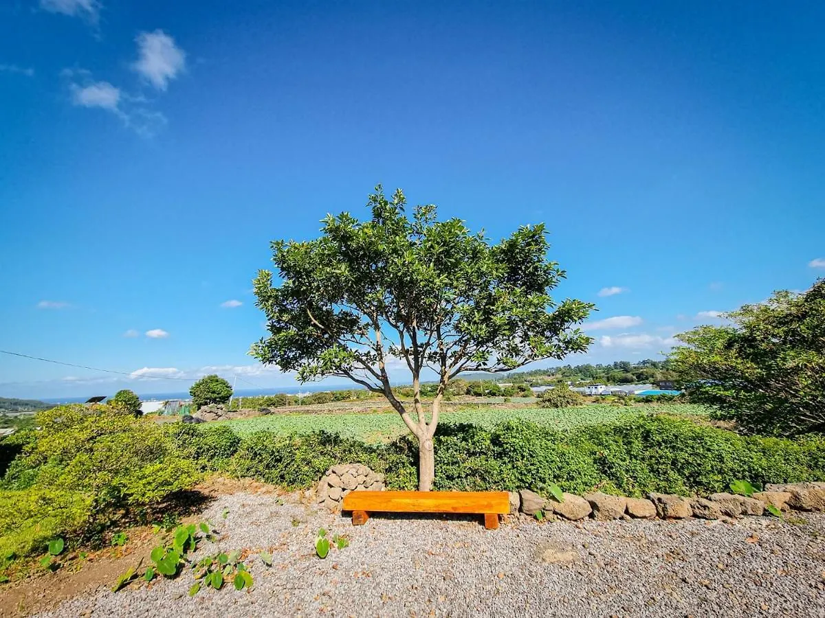 Guest house Fongnang Eyeom Hotel Jeju South Korea